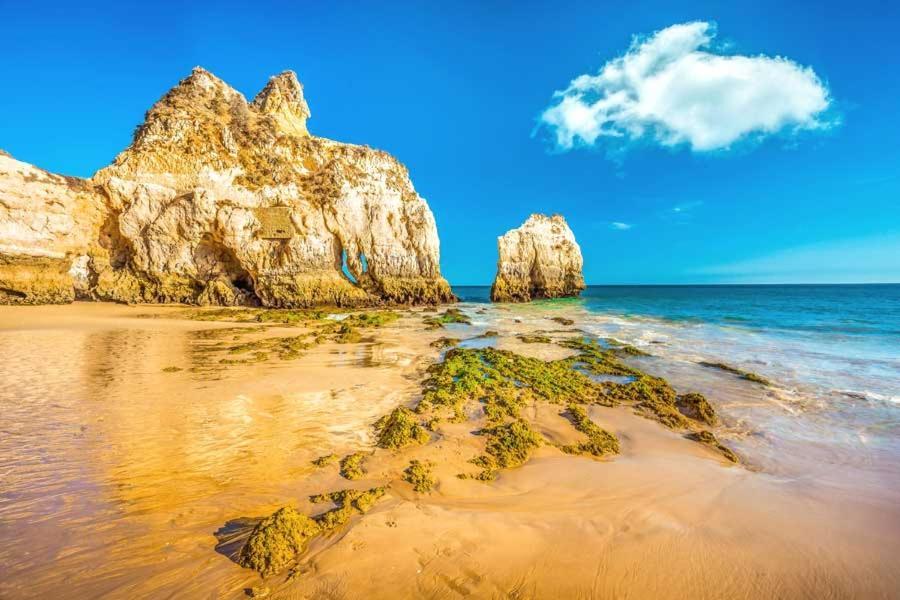 Litoral Mar Dream 17, Beach Front, Free Wi-Fi, Private Parking, Pool 포티마오 외부 사진